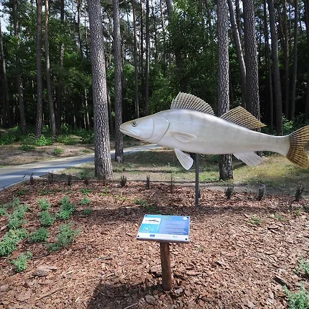 Ajaks Hotel Trzcianka (Czarnkow-Trzcianka)