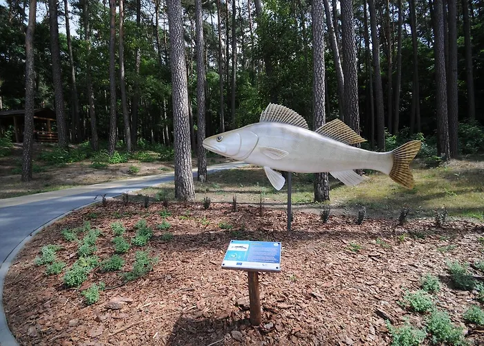 Ajaks Hotel Trzcianka (Czarnkow-Trzcianka)